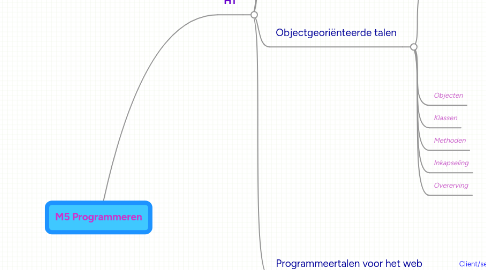 Mind Map: M5 Programmeren