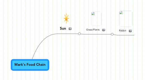 Mind Map: Mark's Food Chain