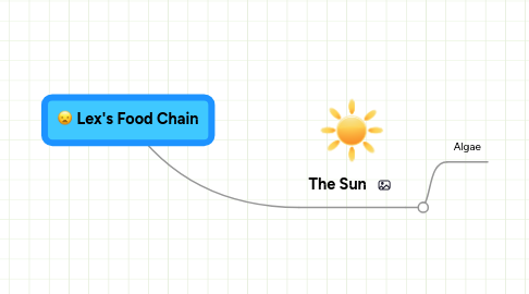 Mind Map: Lex's Food Chain