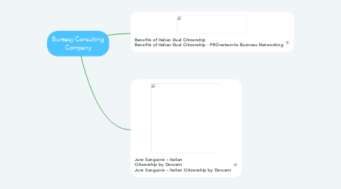 Mind Map: Bureasy Consulting Company