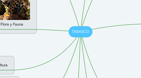 Mind Map: TABASCO
