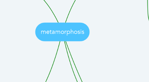 Mind Map: metamorphosis
