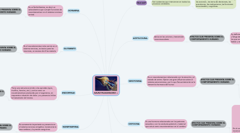 Mind Map: NEUROTRANSMISORES