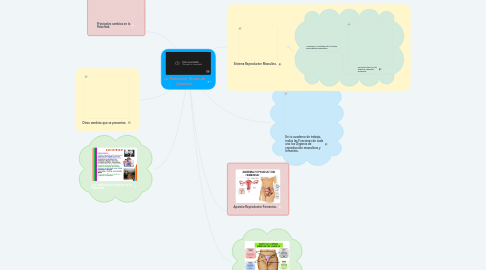 Mind Map: La Pubertad, Etapa de Cambios.