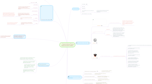 Mind Map: Características físicas y divisiones del cerebro