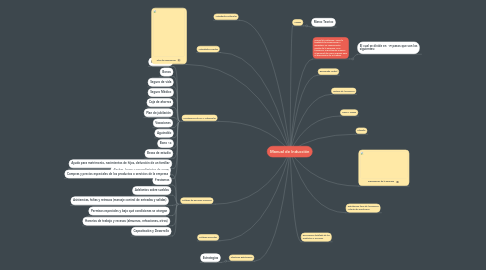 Mind Map: Manual de Inducción