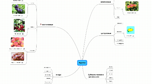 Mind Map: Фрукты