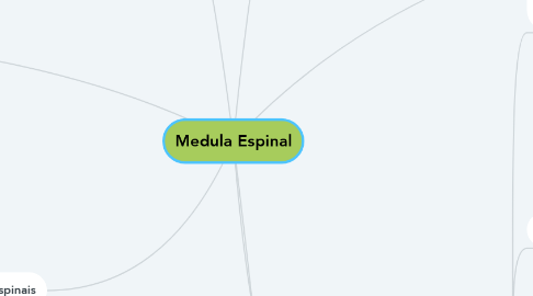 Mind Map: Medula Espinal