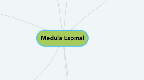 Mind Map: Medula Espinal