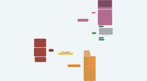 Mind Map: MI PLE BUENA ALIMENTACION Y SALUD