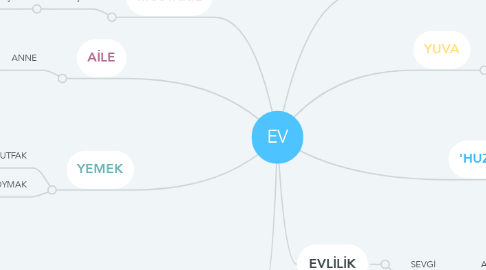 Mind Map: EV