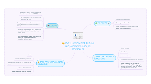 Mind Map: EVALUACIÓN POR PLE- MI HOJA DE VIDA MIGUEL GONZALEZ