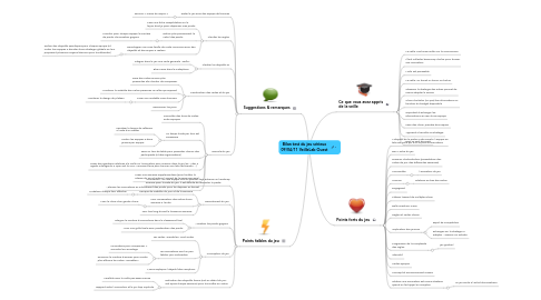 Mind Map: Bilan test du jeu sérieux 09/04/11 VeilleLab Ouest