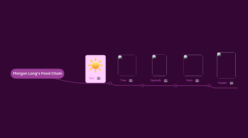 Mind Map: Morgan Long's Food Chain