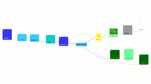 Mind Map: Anisha's Food Chain