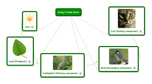 Food Chain Mind Map Emily's Food Chain | Mindmeister Mind Map