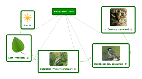 Mind Map: Emily's Food Chain