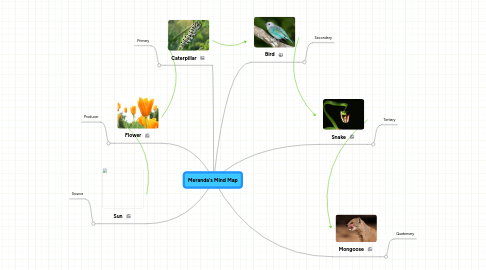 Mind Map: Meranda's Mind Map