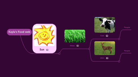 Mind Map: Kayla's Food web