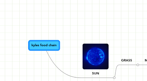 Mind Map: kyles food chain