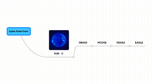 Mind Map: kyles food chain