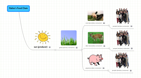 Mind Map: Hailee's Food Chain