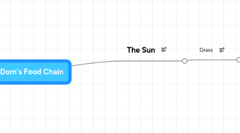 Mind Map: Dom's Food Chain