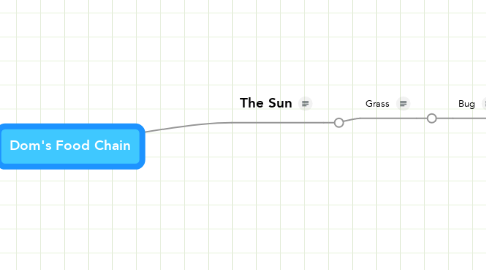 Mind Map: Dom's Food Chain