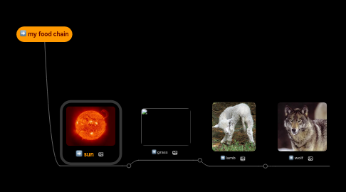 Mind Map: my food chain