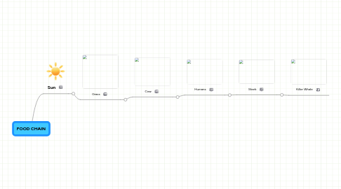 Mind Map: FOOD CHAIN