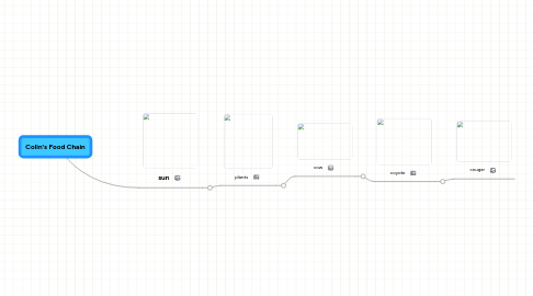 Mind Map: Colin's Food Chain