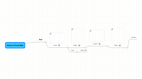 Mind Map: Devon's Food Web