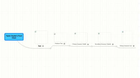 Mind Map: Taylor Snyder's Food Chain