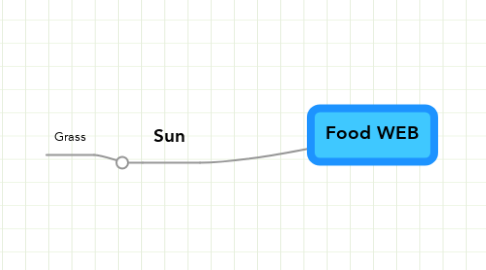 Mind Map: Food WEB