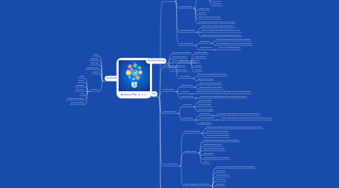 Mind Map: Business Plan