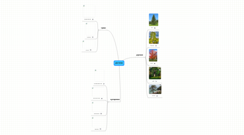 Mind Map: растения