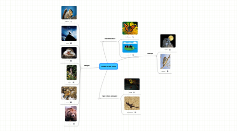 Mind Map: животные леса