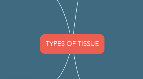Mind Map: TYPES OF TISSUE