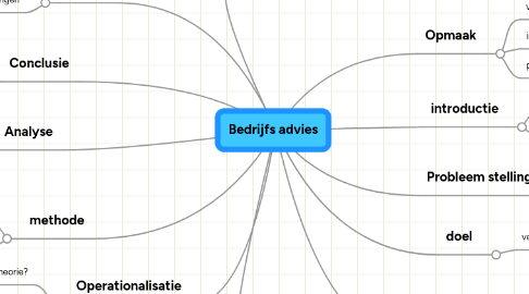 Mind Map: Bedrijfs advies