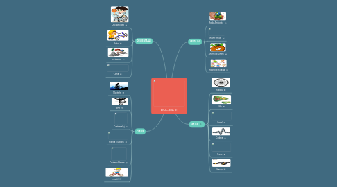 Mind Map: BICICLETA