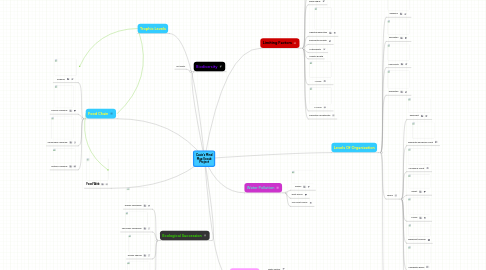 Mind Map: Casie's Mind Map Vocab Project