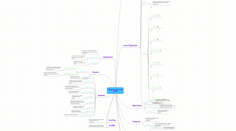 Mind Map: Morgan Long's Vocab Project