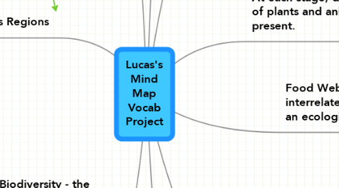 Mind Map: Lucas's Mind Map Vocab Project