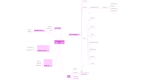 Mind Map: My Mind Map Vocab Project