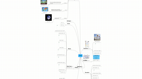 Mind Map: Vocab