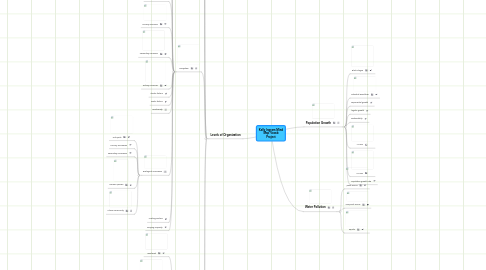 Mind Map: Kelly Ingram Mind Map Vocab Project