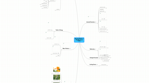 Mind Map: Meranda Weathers's Mind Map Vocab Project