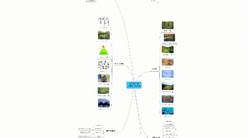 Mind Map: KYLE WOULFE VOCAB PROJECT