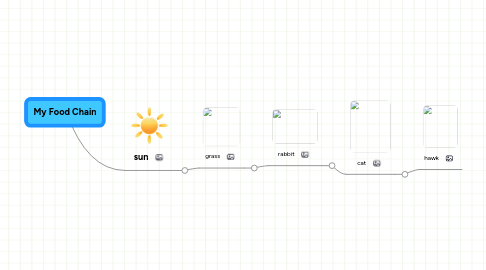 Mind Map: My Food Chain