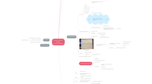 Mind Map: Conseil de réseau  - Cognac -  17 & 18 juillet 2017